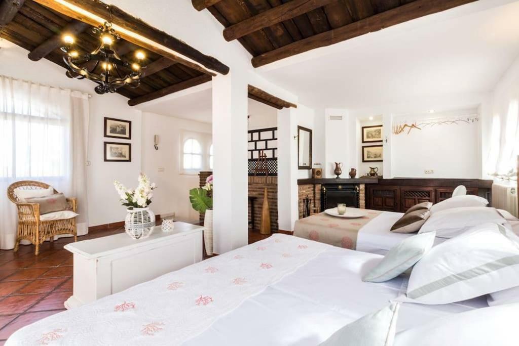 Ideal Para Grupos! Descubre Granada Villa Ngoại thất bức ảnh